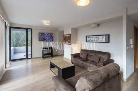 Llodio. Apartamentos turísticos en venta. Valle de Ayala. 