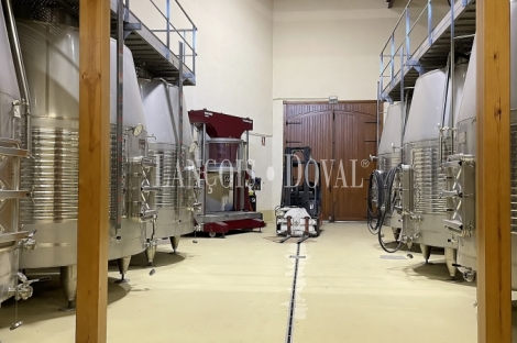 Bodega en Venta. D.O. Navarra. Zona de eventos y enoturismo. 