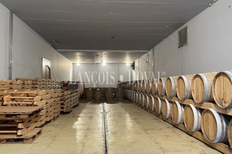 Bodega en Venta. D.O. Navarra. Zona de eventos y enoturismo. 