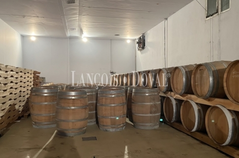Bodega en Venta. D.O. Navarra. Zona de eventos y enoturismo. 