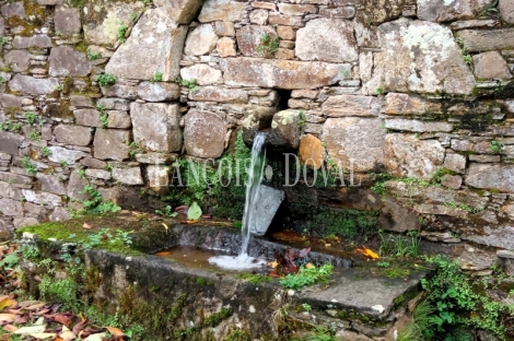 Pazo histórico en venta en Cedeira, A Coruña. Ideal proyecto turístico.