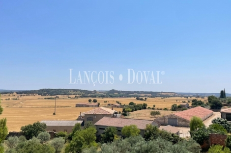 Monasterio en venta con proyecto hotelero. Huesca. 