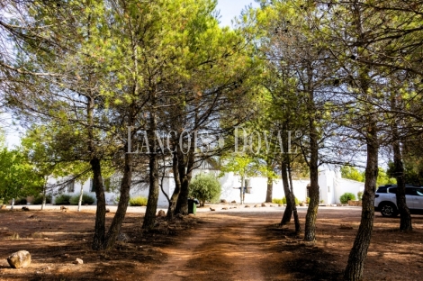 Cortijo con alojamiento turístico rural en venta. Las Lagunas de Ruidera, Ciudad Real. 
