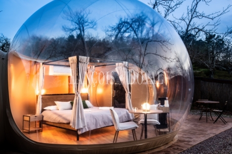 Inversión en alojamiento turístico singular: Glamping en la Sierra de Huelva