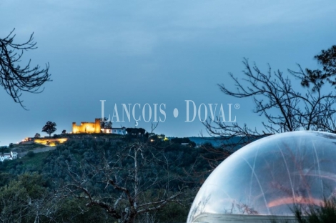 Inversión en alojamiento turístico singular: Glamping en la Sierra de Huelva