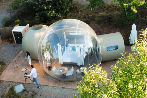 Inversión en alojamiento turístico singular: Glamping en la Sierra de Huelva