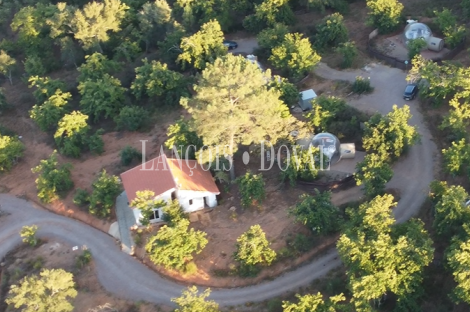 Inversión en alojamiento turístico singular: Glamping en la Sierra de Huelva