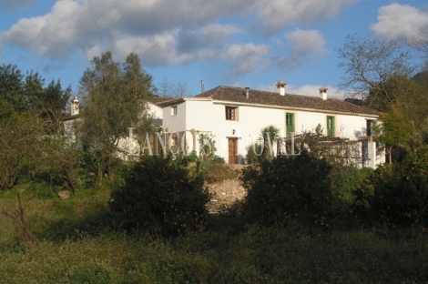 Casa rural en venta Gaucín Andalucia