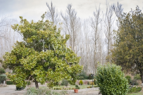 León. Molino histórico del siglo XV en venta con alojamiento rural en Villacelama