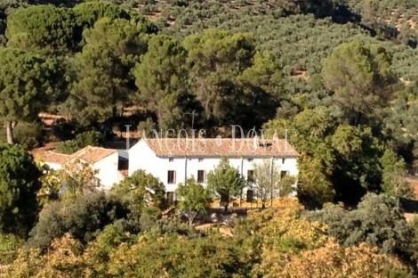Finca olivar y cortijo en venta en La Sierra del Segura. Jaén. 