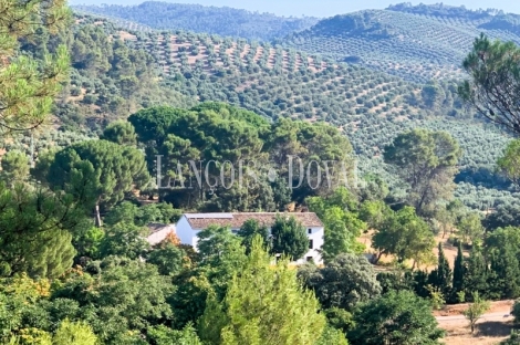 Finca olivar y cortijo en venta en La Sierra del Segura. Jaén. 