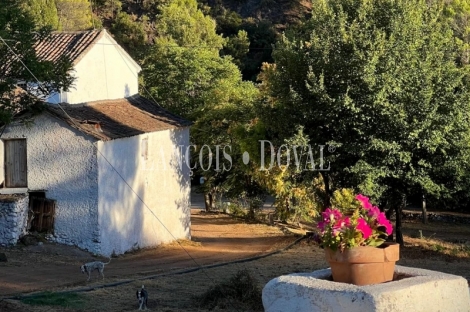 Finca olivar y cortijo en venta en La Sierra del Segura. Jaén. 