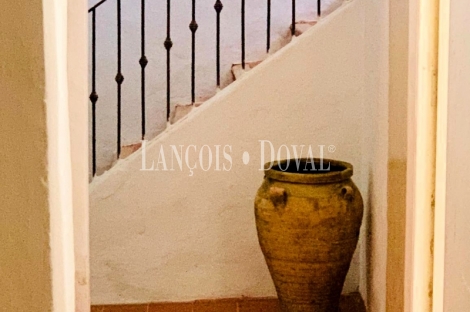 Finca olivar y cortijo en venta en La Sierra del Segura. Jaén. 