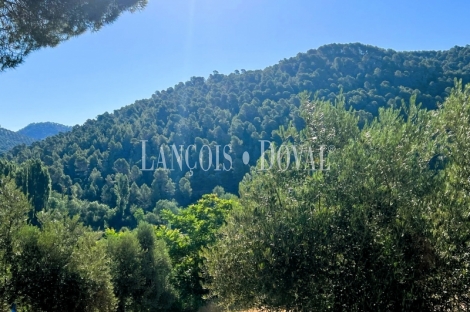 Finca olivar y cortijo en venta en La Sierra del Segura. Jaén. 