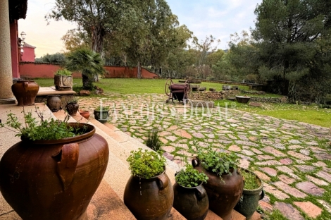 Gran finca de caza mayor en venta en los Montes de Toledo. Ciudad Real