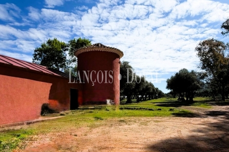 Gran finca de caza mayor en venta en los Montes de Toledo. Ciudad Real