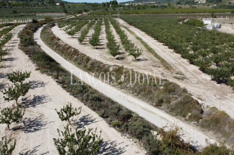 Centro ecuestre en venta en el interior de Alicante: proyecto de inversión con DIC aprobada y potencial de crecimiento