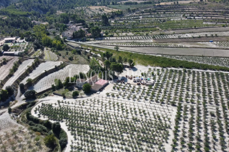 Centro ecuestre en venta en el interior de Alicante: proyecto de inversión con DIC aprobada y potencial de crecimiento