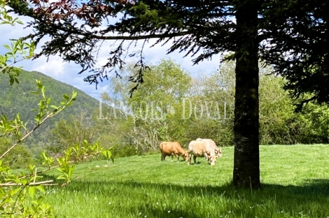 Chalet de montaña en venta en el Ripollès: una propiedad singular con espectaculares vistas y máxima privacidad