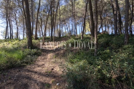 Mansión estilo Art Déco en venta a los pies de Montserrat: una propiedad única en un entorno excepcional