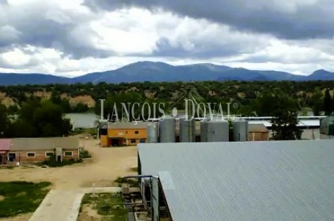 Toledo. Finca agrícola y ganadera en venta a una hora de Madrid: 64 hectáreas de regadío e infraestructuras productivas