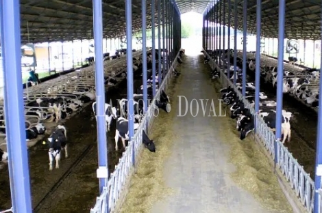 Toledo. Finca agrícola y ganadera en venta a una hora de Madrid: 64 hectáreas de regadío e infraestructuras productivas