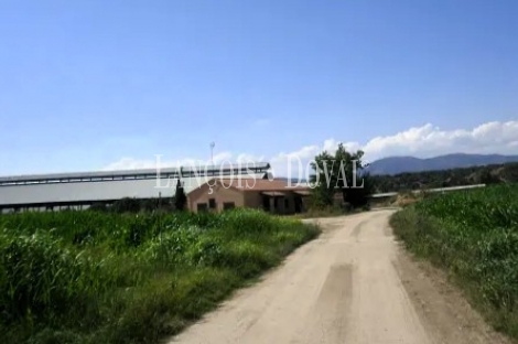 Toledo. Finca agrícola y ganadera en venta a una hora de Madrid: 64 hectáreas de regadío e infraestructuras productivas