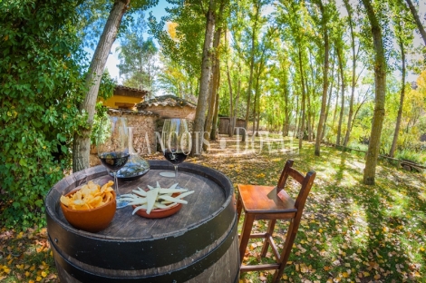 Antiguo molino en venta en Guadalajara: albergue rural con encanto, historia y amplios espacios para el ocio y los eventos