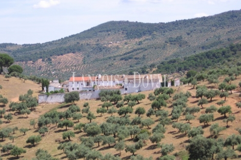 Sierra Morena. Córdoba. Finca de olivar y ocio con gran Hacienda en venta