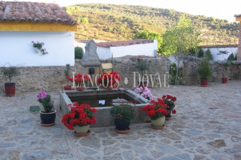Sierra Morena. Córdoba. Finca de olivar y ocio con gran Hacienda en venta