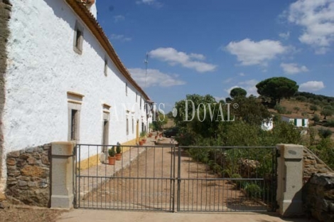 Sierra Morena. Córdoba. Finca de olivar y ocio con gran Hacienda en venta