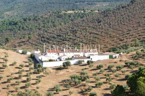 Sierra Morena. Córdoba. Finca de olivar y ocio con gran Hacienda en venta