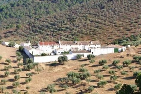Sierra Morena. Córdoba. Finca de olivar y ocio con gran Hacienda en venta