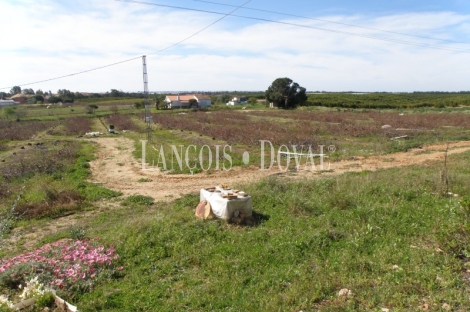 Isla Cristina. Huelva Finca urbanizable en venta