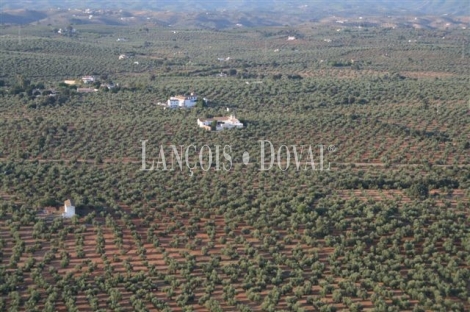 Las Navas. Córdoba Cortijo y molino en Venta.