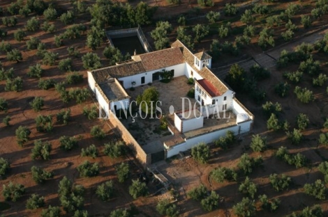 Las Navas. Córdoba Cortijo y molino en Venta.