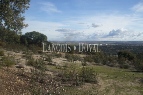 Madrid. Finca de recreo y caza en venta