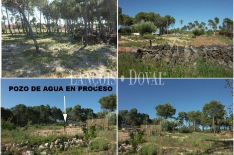 Cabra del Camp . Tarragona Finca en venta ideal turismo rural