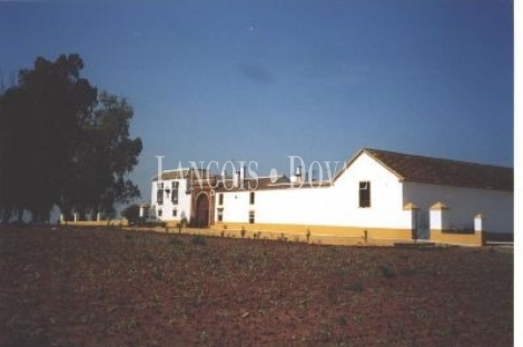 Sevilla. Hacienda en Venta