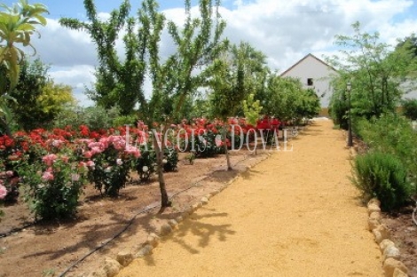 Sevilla. Hacienda en Venta