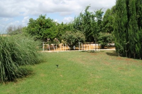 Sevilla. Hacienda en Venta