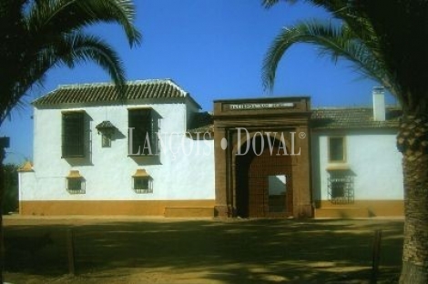 Sevilla. Hacienda en Venta