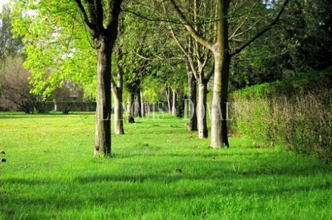 Simancas. Valladolid Finca y casa señorial en venta