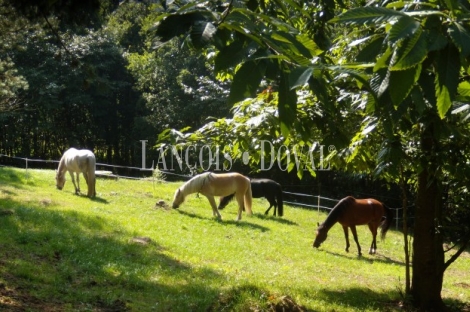 Asturias Hotel rural y centro ecuestre en venta