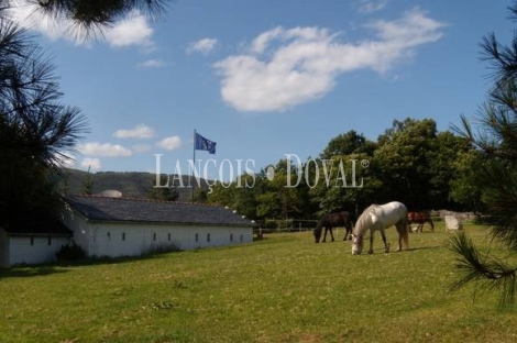 Asturias Hotel rural y centro ecuestre en venta