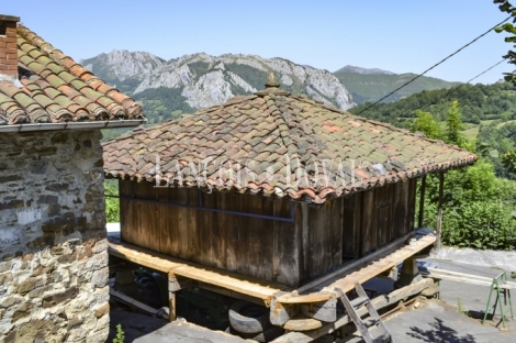 Asturias. Casa rústica en venta ideal proyecto rural. Parque natural de Redes