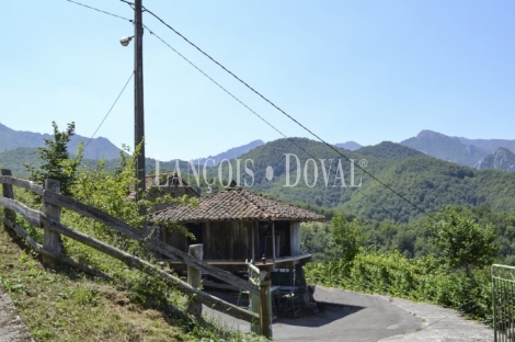 Asturias. Casa rústica en venta ideal proyecto rural. Parque natural de Redes