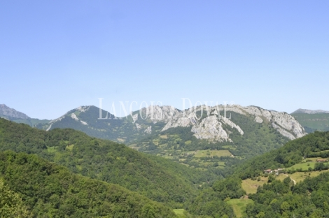 Asturias. Casa rústica en venta ideal proyecto rural. Parque natural de Redes