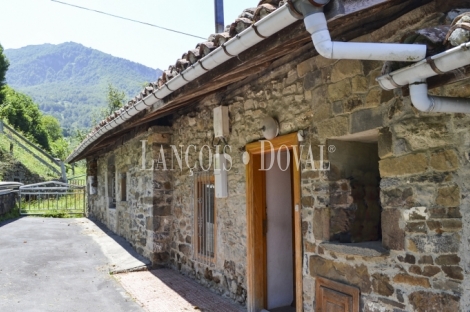 Asturias. Casa rústica en venta ideal proyecto rural. Parque natural de Redes