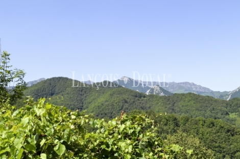 Asturias. Casa rústica en venta ideal proyecto rural. Parque natural de Redes